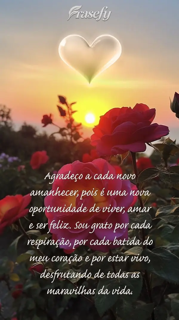 Agradeço a cada novo amanhecer, pois é uma nova oportunidade de viver, amar e ser feliz. Sou grato por cada respiração, por cada batida do meu coraç...
