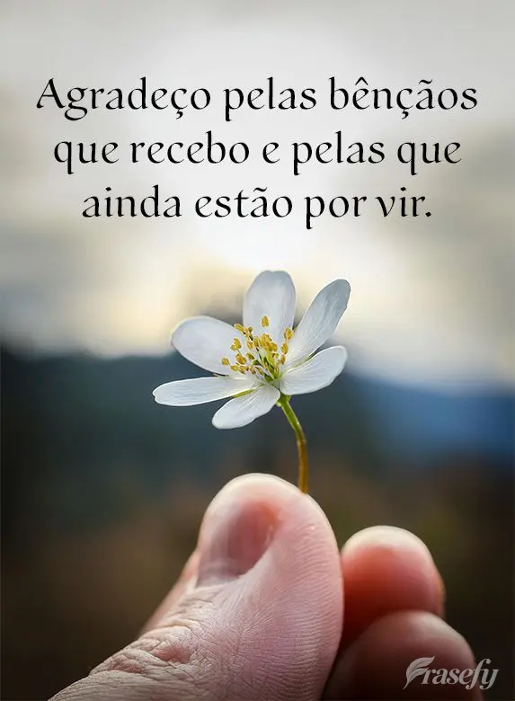 Agradeço pelas bênçãos que recebo e pelas que ainda estão por vir.