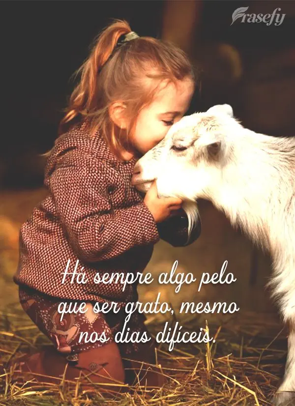 Há sempre algo pelo que ser grato, mesmo nos dias difíceis.