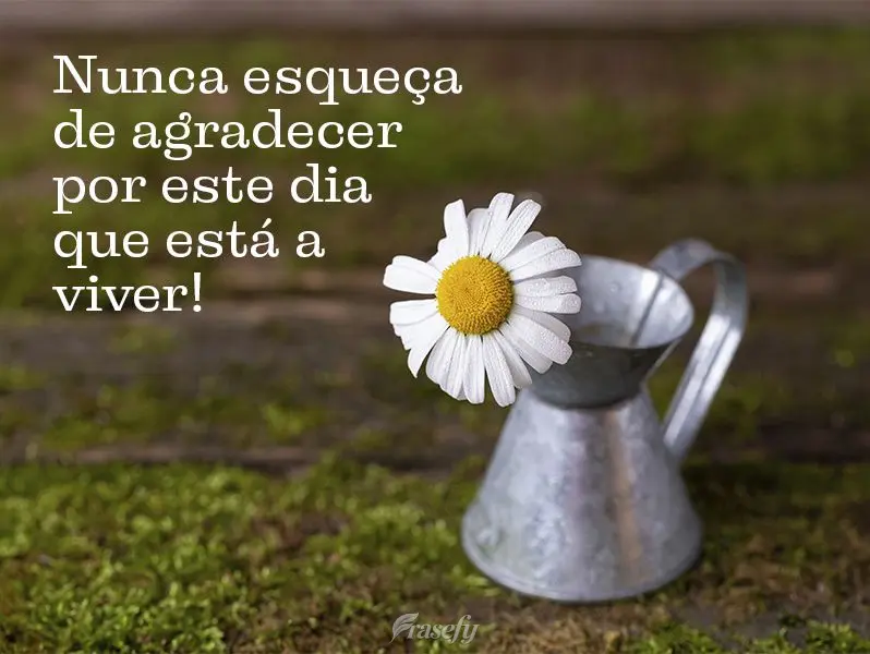 Nunca esqueça de agradecer por este dia que está a viver!