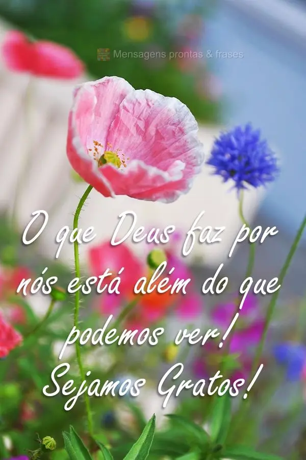 O que Deus faz por nós está além do que podemos ver! 
 Sejamos Gratos!