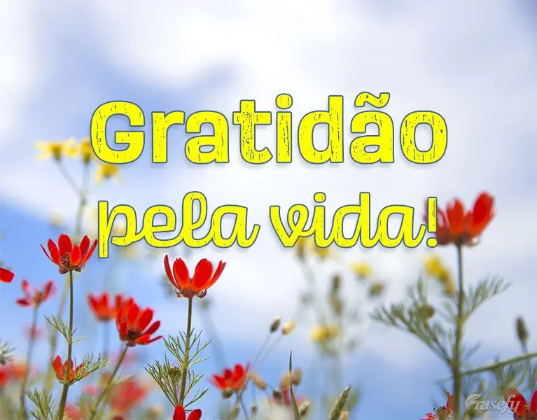 Gratidão pela vida!