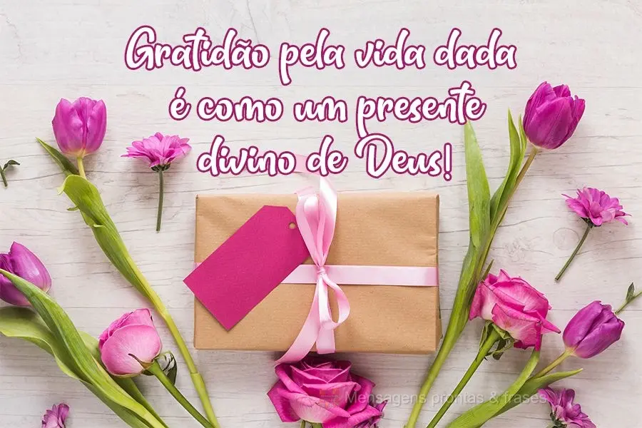 Gratidão pela vida dada é como um presente divino de Deus!
