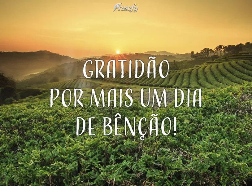 Gratidão por mais um dia de bênção!
