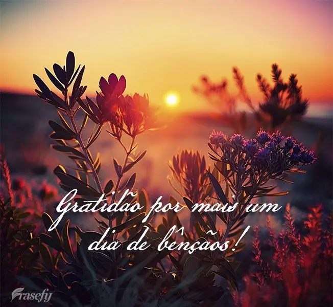 Gratidão por mais um dia de bênçãos!