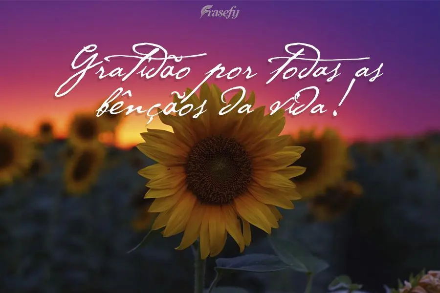 Gratidão por todas as bênçãos da vida!