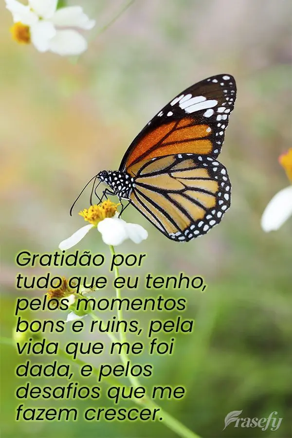 Gratidão por tudo que eu tenho, pelos momentos bons e ruins, pela vida que me foi dada, e pelos desafios que me fazem crescer.