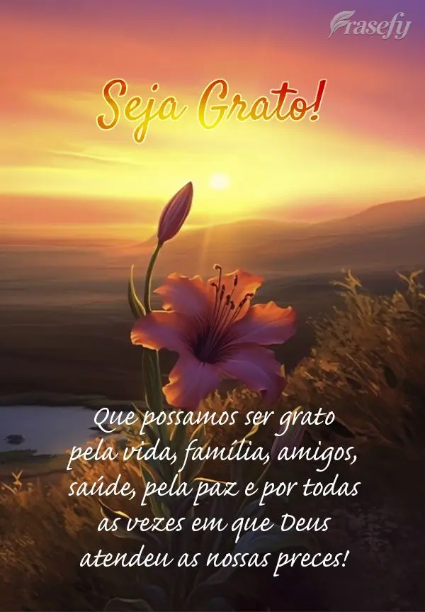 Que possamos ser grato pela vida, família, amigos, saúde, pela paz e por todas as vezes em que Deus atendeu as nossas preces! Seja Grato!