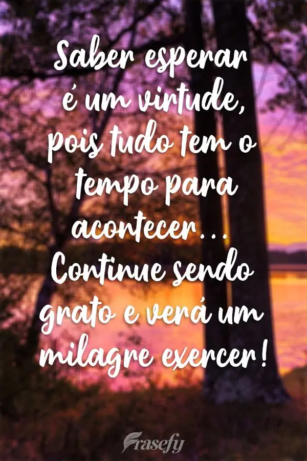 Saber esperar é um virtude, pois tudo tem o tempo para acontecer...Continue sendo grato e verá um milagre exercer!
