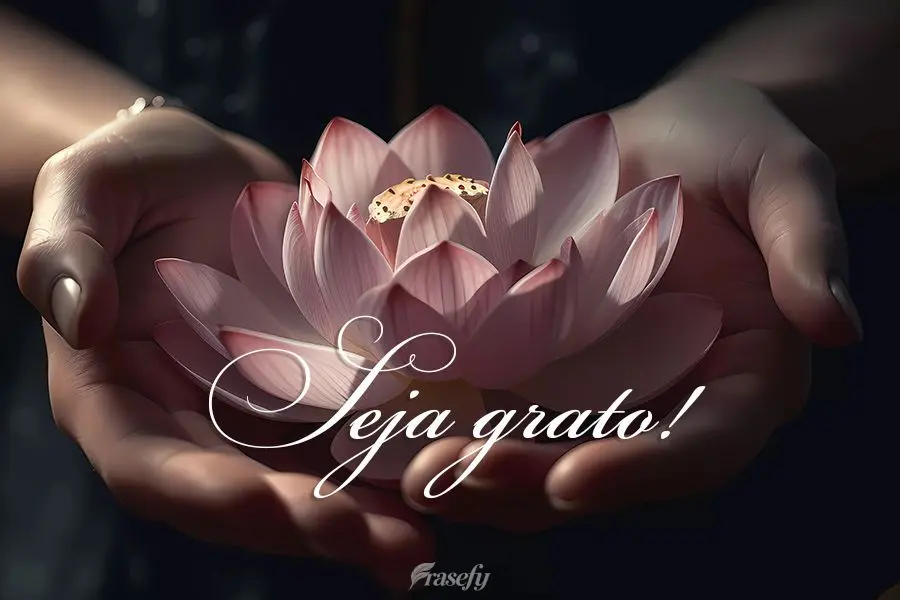 Seja grato!