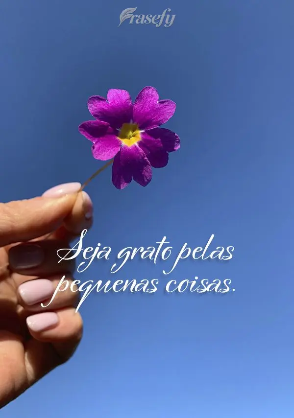 Seja grato pelas pequenas coisas.