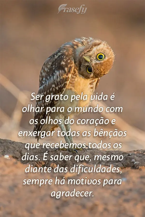 Ser grato pela vida é olhar para o mundo com os olhos do coração e enxergar todas as bênçãos que recebemos todos os dias. É saber que, mesmo diant...