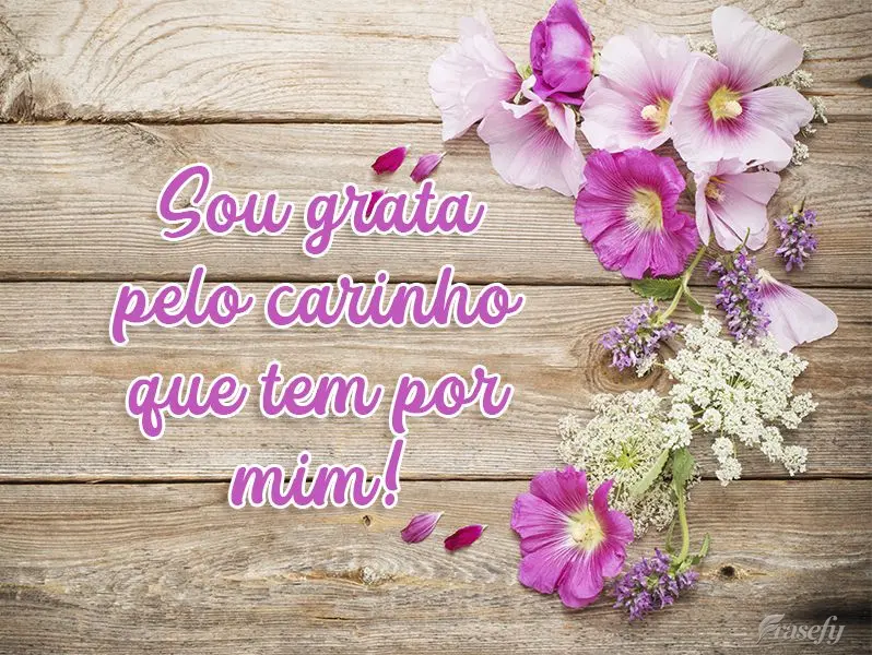 Sou grata pelo carinho que tem por mim!