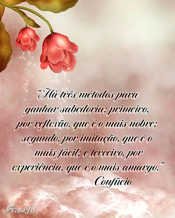“Há três métodos para ganhar sabedoria: primeiro, por reflexão, que é o mais nobre; segundo, por imitação, que é o mais fácil; e terceiro, por...