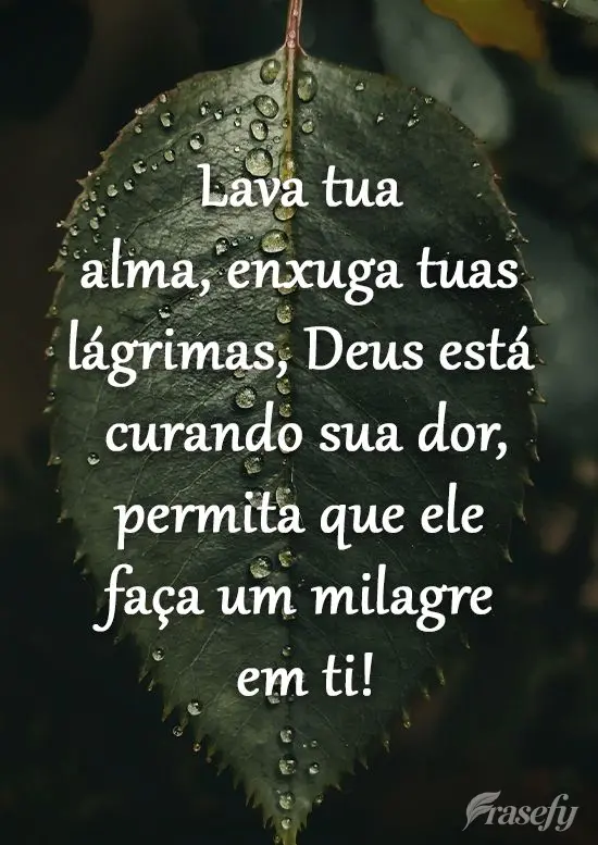 Lava tua alma, enxuga tuas lágrimas. Deus está curando sua dor, permita que ele faça um milagre em ti!

