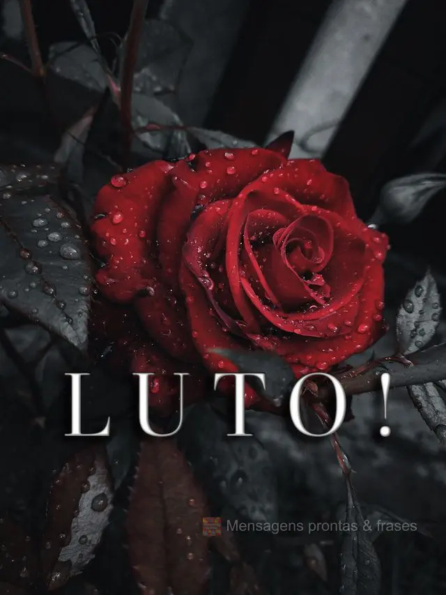 LUTO!