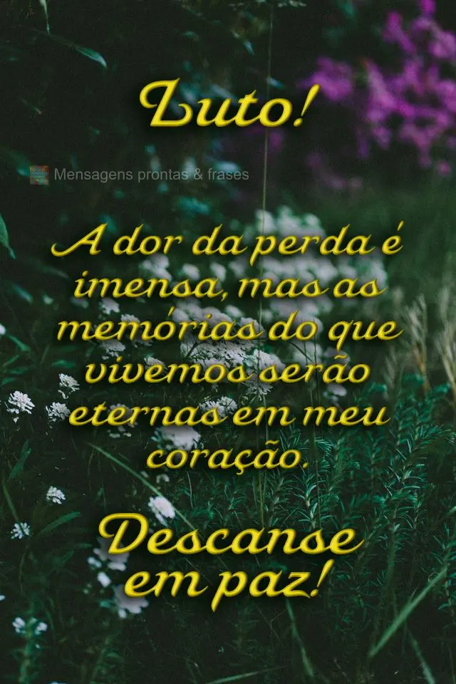  A dor da perda é imensa, mas as memórias do que vivemos serão eternas em meu coração. Descanse em paz!
 Luto!