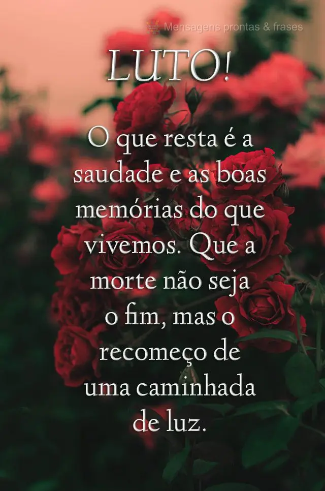 O que resta é a saudade e as boas memórias do que vivemos. Que a morte não seja o fim, mas o recomeço de uma caminhada de luz.
 Luto!