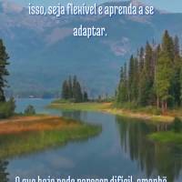 A vida é uma constante mudança, por isso, seja flexível e aprenda a se adaptar. 

O que hoje pode parecer difícil, amanhã pode ser uma grande opor...