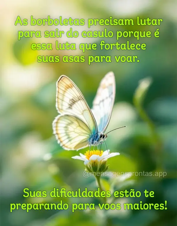 As borboletas precisam lutar para sair do casulo porque é essa luta que fortalece suas asas para voar. Suas dificuldades estão te preparando para voos ...