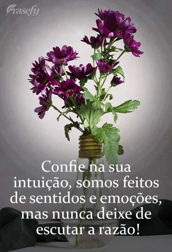 Confie na sua intuição. Somos feitos de sentido e emoção, mas não deixe de escutar a razão!
