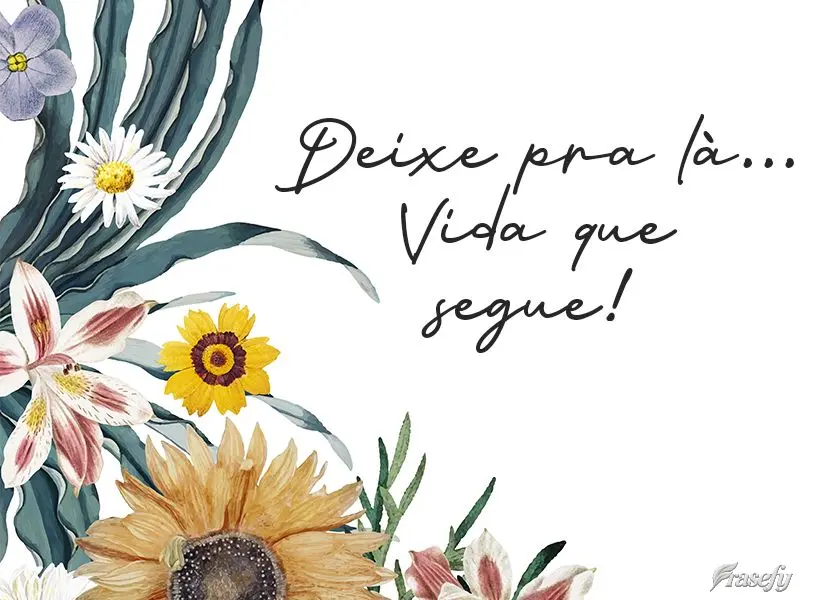 Deixe pra lá...Vida que segue!
