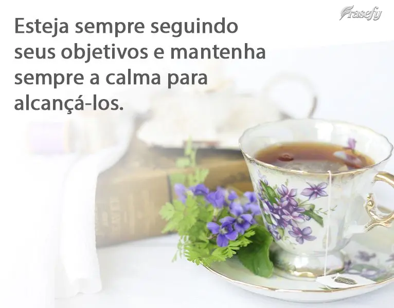 Esteja sempre seguindo seus objetivos e mantenha sempre a calma para alcançá-los. 