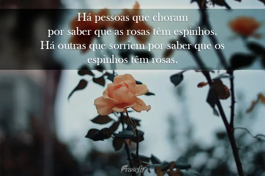 Há pessoas que choram por saber que as rosas têm espinhos. Há outras que sorriem por saber que os espinhos têm rosas.