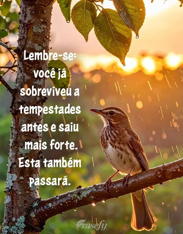 Lembre-se: você já sobreviveu a tempestades antes e saiu mais forte. Esta também passará.