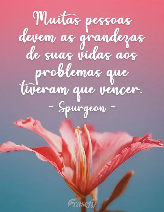 Muitas pessoas devem as grandezas de suas vidas aos problemas que tiveram que vencer.  Spurgeon