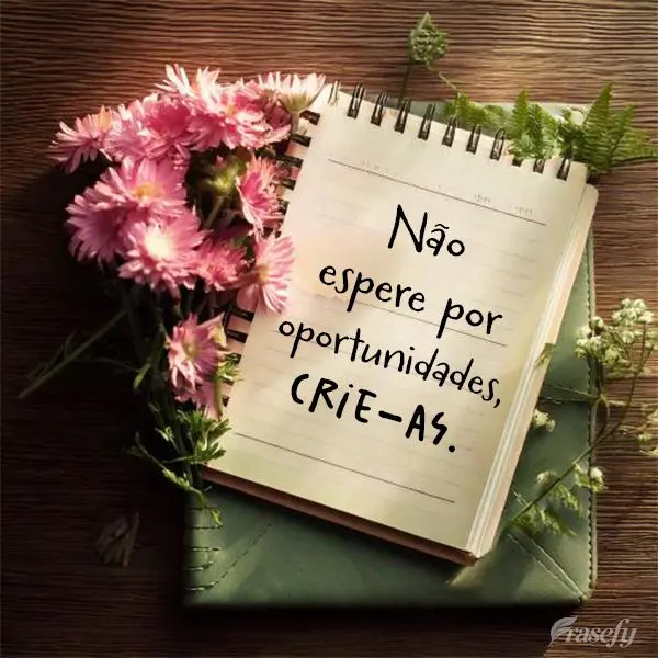 Não espere por oportunidades, crie-as.