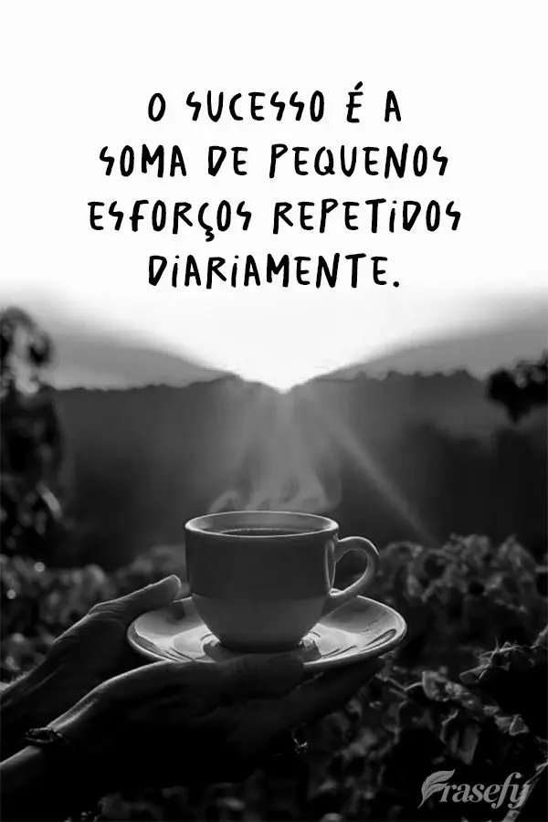 O sucesso é a soma de pequenos esforços repetidos diariamente.