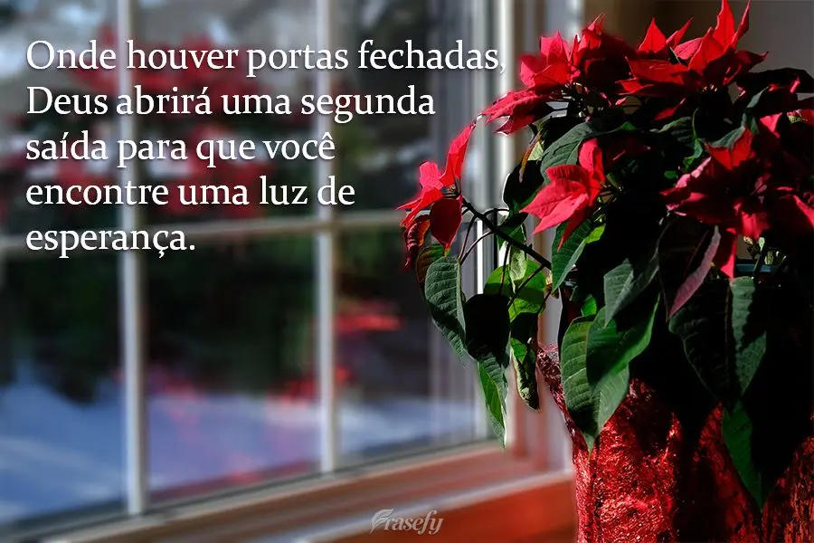 Onde houver portas fechadas, Deus abrirá uma segunda saída para que você encontre uma luz de esperança.
