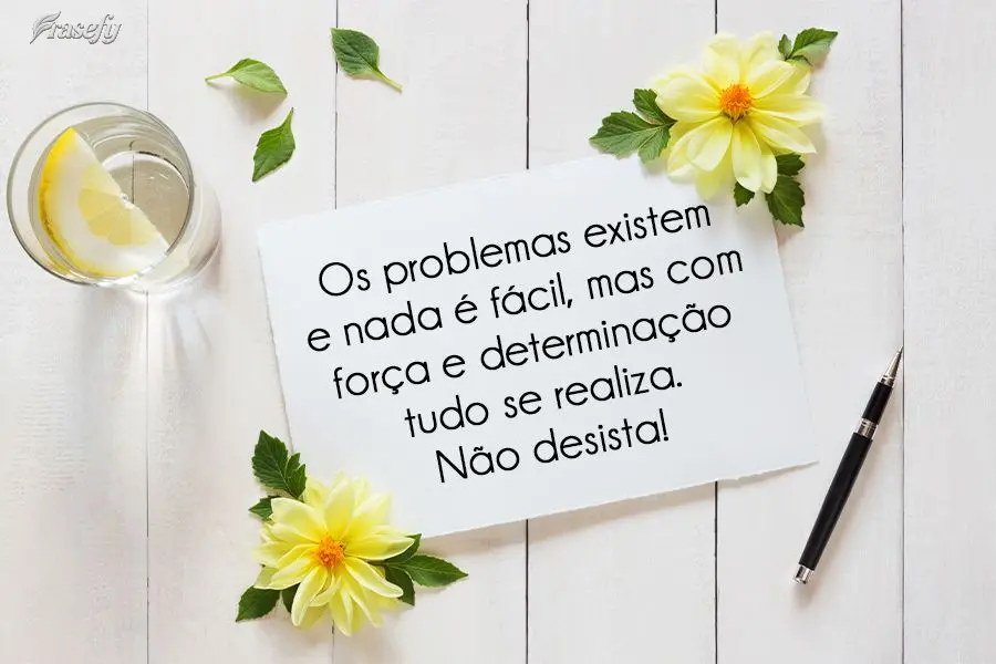 Os problemas existem e nada é fácil, mas com força e determinação tudo se realiza. Não desista!
