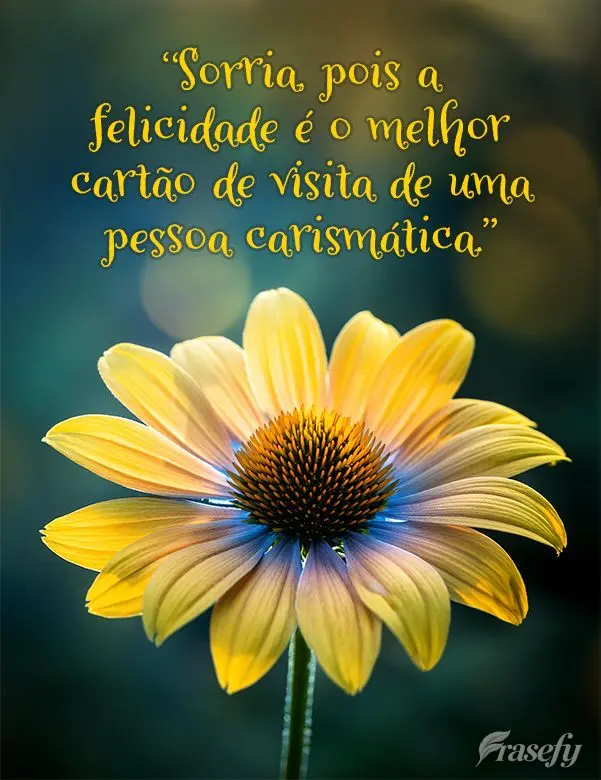 "Sorria, pois a felicidade é o melhor cartão de visita de uma pessoa carismática."
