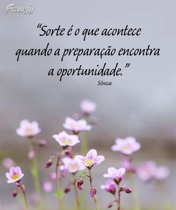 “Sorte é o que acontece quando a preparação encontra a oportunidade.” Sêneca