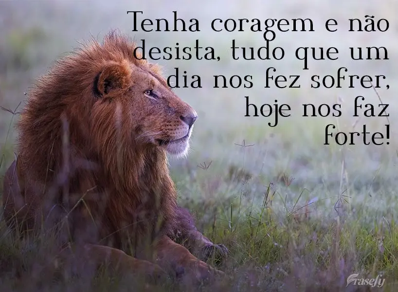Tenha coragem e não desista, tudo que um dia nos fez sofrer, hoje nos faz forte!