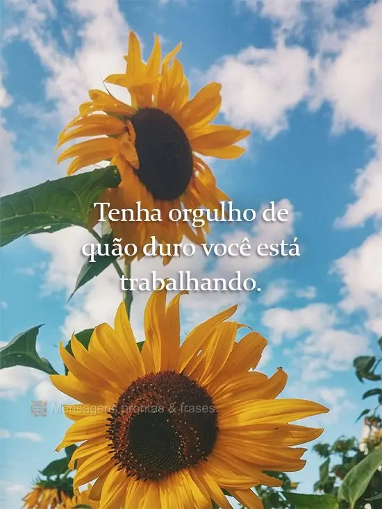 Tenha orgulho de quão duro você está trabalhando.
