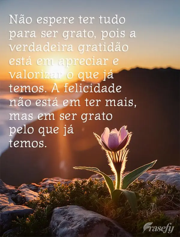 Não espere ter tudo para ser grato, pois a verdadeira gratidão está em apreciar e valorizar o que já temos. A felicidade não está em ter mais, mas ...