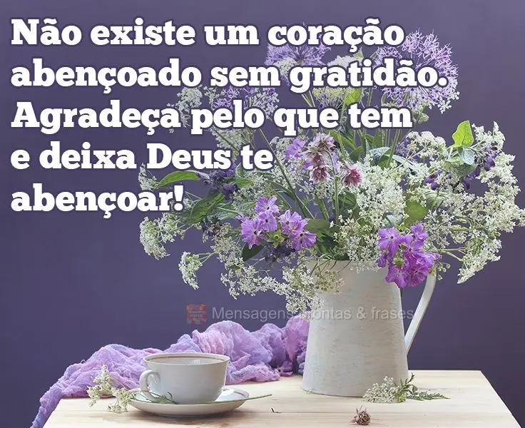 Não existe um coração abençoado sem gratidão. Agradeça pelo que tem e deixa Deus te abençoar!
