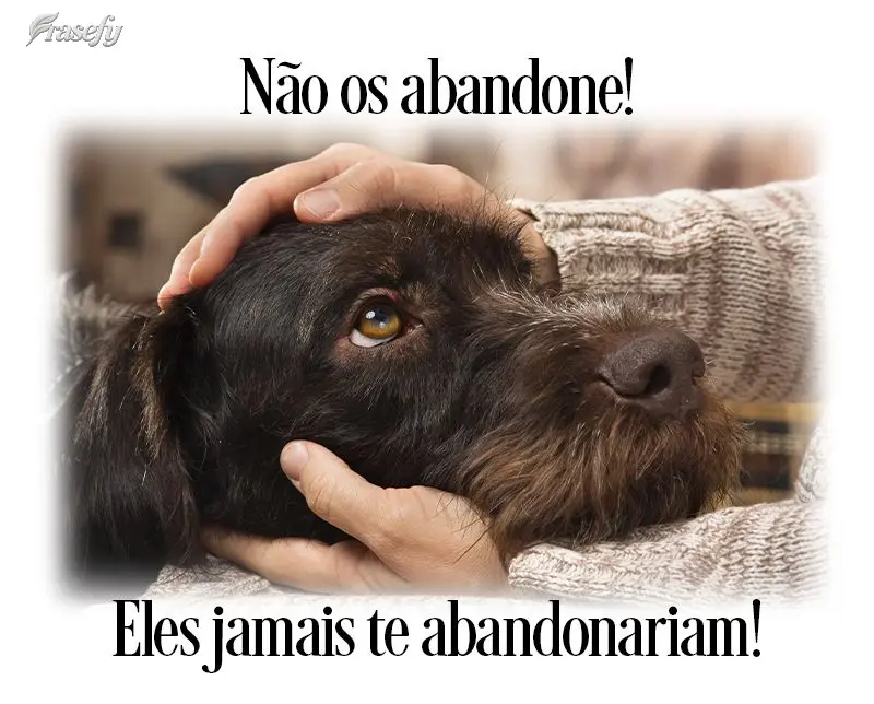 Não os abandone! Eles jamais te abandonariam!