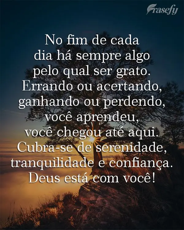 No fim de cada dia há sempre algo pelo qual ser grato. Errando ou acertando, ganhando ou perdendo, você aprendeu, você chegou até aqui. Cubra-se de s...