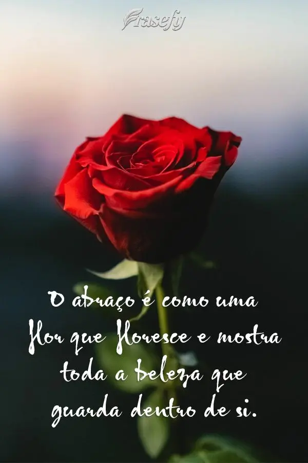 O abraço é como uma flor que floresce e mostra toda a beleza que guarda dentro de si.