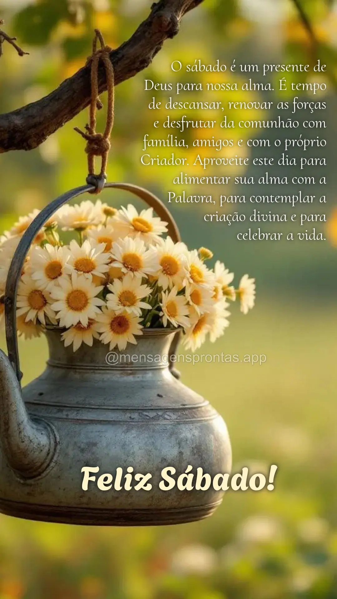 O sábado é um presente de 
Deus para nossa alma. É tempo 
de descansar, renovar as forças 
e desfrutar da comunhão com família, amigos e com o p...
