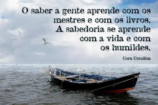 O saber a gente aprende com os mestres e com os livros. A sabedoria se aprende com a vida e com os humildes. 
 Cora Coralina