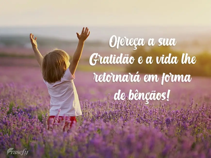 Ofereça a sua gratidão e a vida lhe retornará em forma de bênçãos!