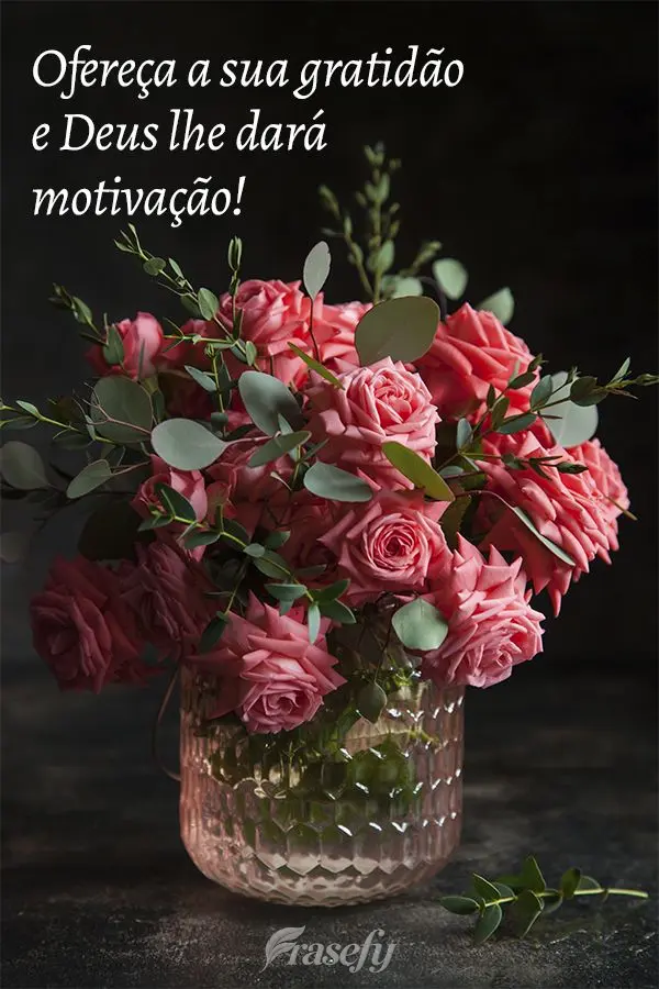 Ofereça a sua gratidão e Deus lhe dará motivação!