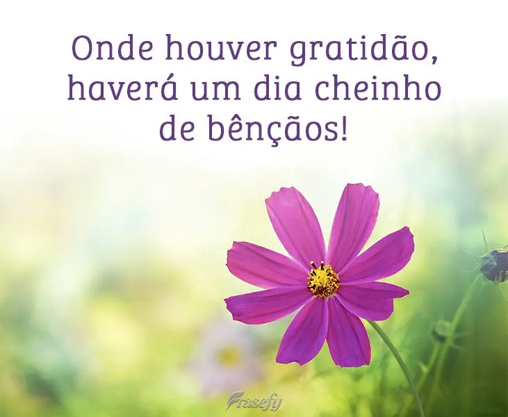 Onde houver gratidão, haverá um dia cheinho de bênçãos!