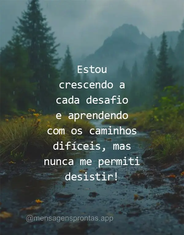 Estou crescendo a cada desafio e aprendendo com os caminhos difíceis, mas nunca me permiti desistir!