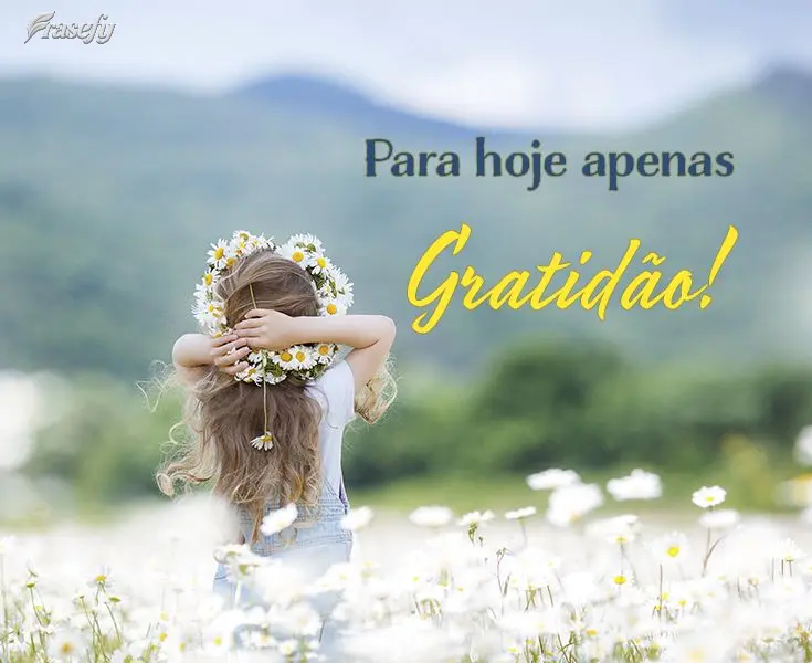 Para hoje apenas gratidão!
